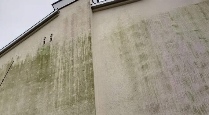 Stark mit Algen und Schmutz verfärbte gedämmte Hausfassade mit typischen Grünbelägen.