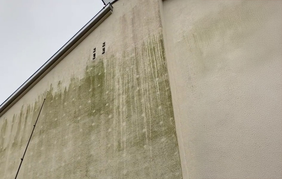 Fassade eines mehrgeschossigen Gebäudes mit Wärmedämm-Verbundsystem (WDVS); deutlich sichtbar sind vertikale grünliche Algenläufe und regelmäßig verteilte, runde Flecken durch Dübelabzeichnungen.