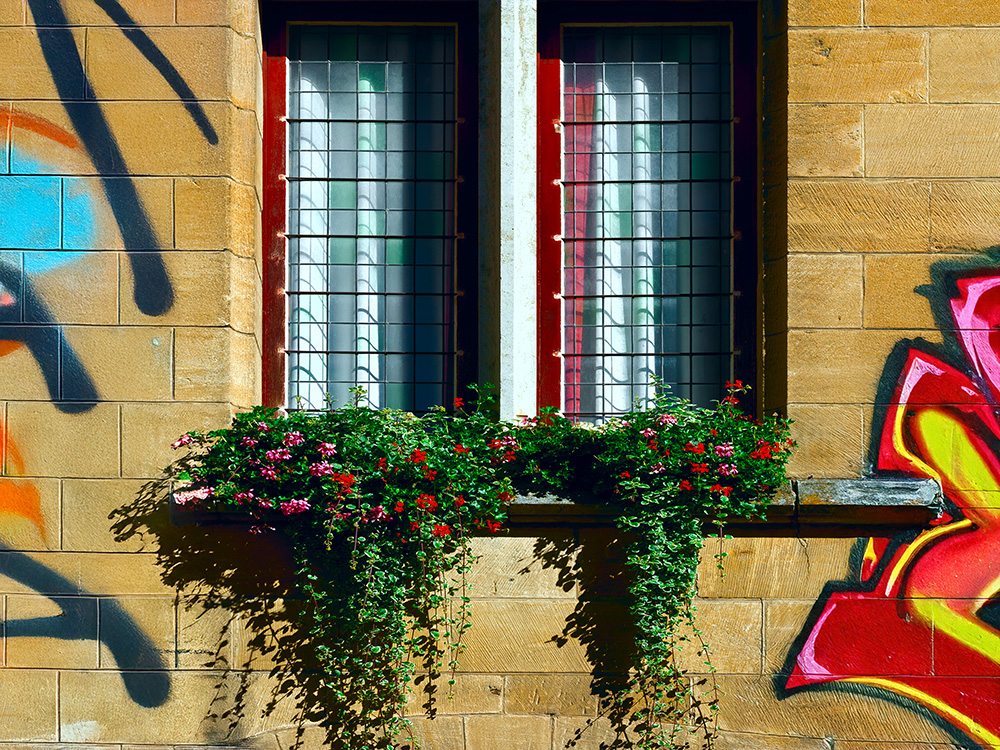 Graffiti auf einer hellen Sandsteinfassade unterhalb zweier vergitterter Fenster mit Blumenkästen.