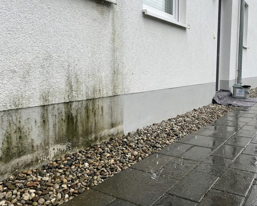 Algenbefall im Sockelbereich durch Spritzwasser Sockelbereich einer Fassade mit Algenbefall durch Spritzwasser.