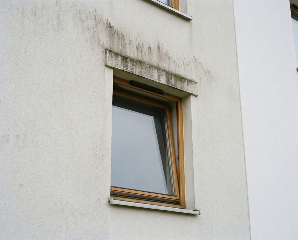 Schwarze Streifen über dem Fenster: dunkler Schmutz- und Bewuchsbelag über dem Sturz eines gekippten Fensters an einer hellen Putzfassade