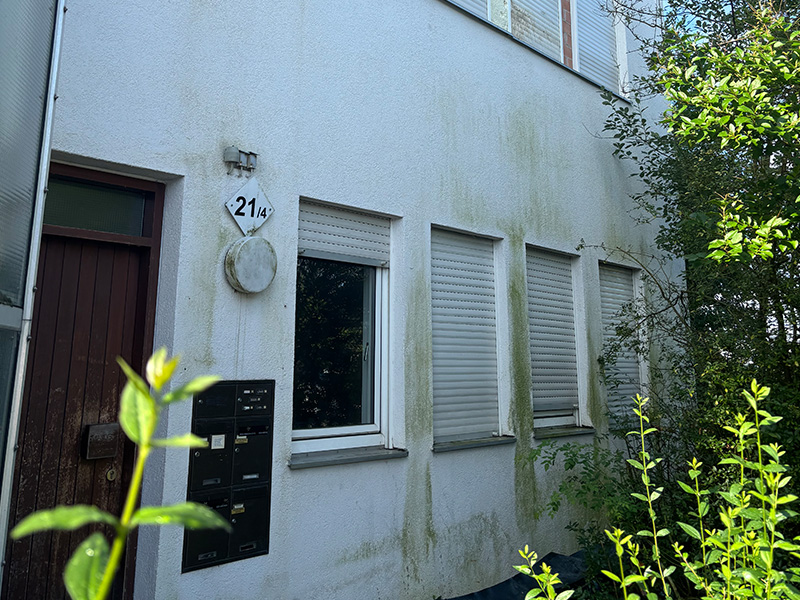 fassadenreinigung-putzfassade-reinigen-gruenalgen Grünalgen auf einer Putzfassade