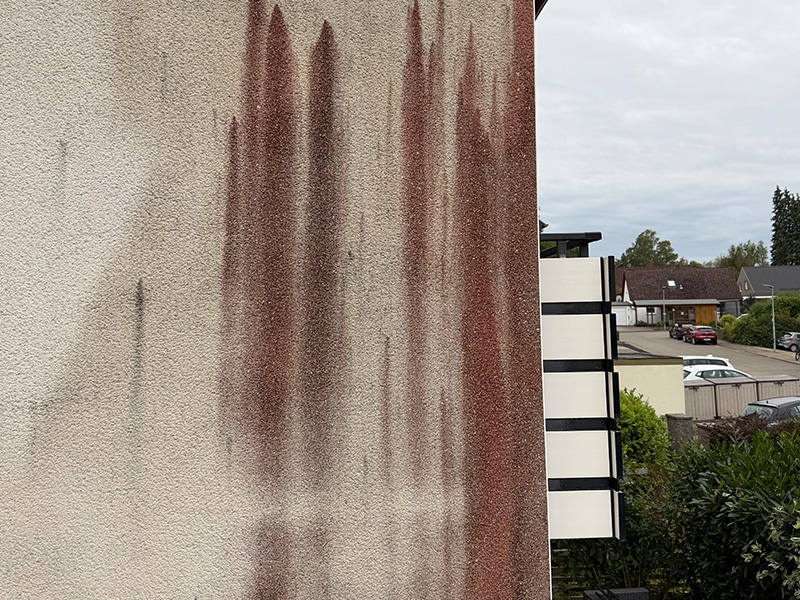 fassadenreinigung-putzfassade-rotalgen Rotalgen auf einer Putzfassade